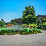 Low-Maintenance Landscaping: Beautiful Yards Without the Work