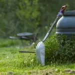 Top 7 Landscaping Trends for 2025