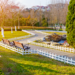 Real-Life Landscaping Transformations