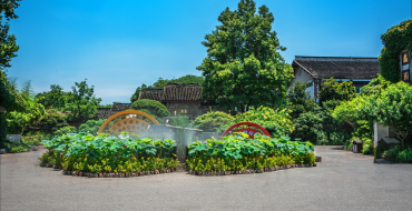 Low-Maintenance Landscaping: Beautiful Yards Without the Work