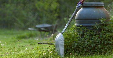 Top 7 Landscaping Trends for 2025