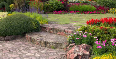 Hardscaping vs. Softscaping: Which Is Right for You?
