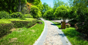The Ultimate Guide to Seasonal Lawn Care