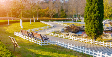 Real-Life Landscaping Transformations